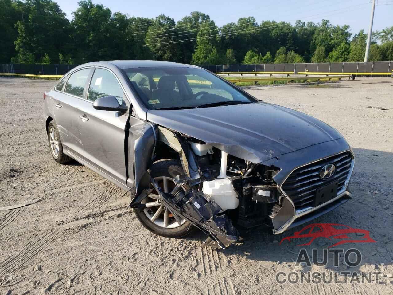 HYUNDAI SONATA 2019 - 5NPE24AF7KH776416
