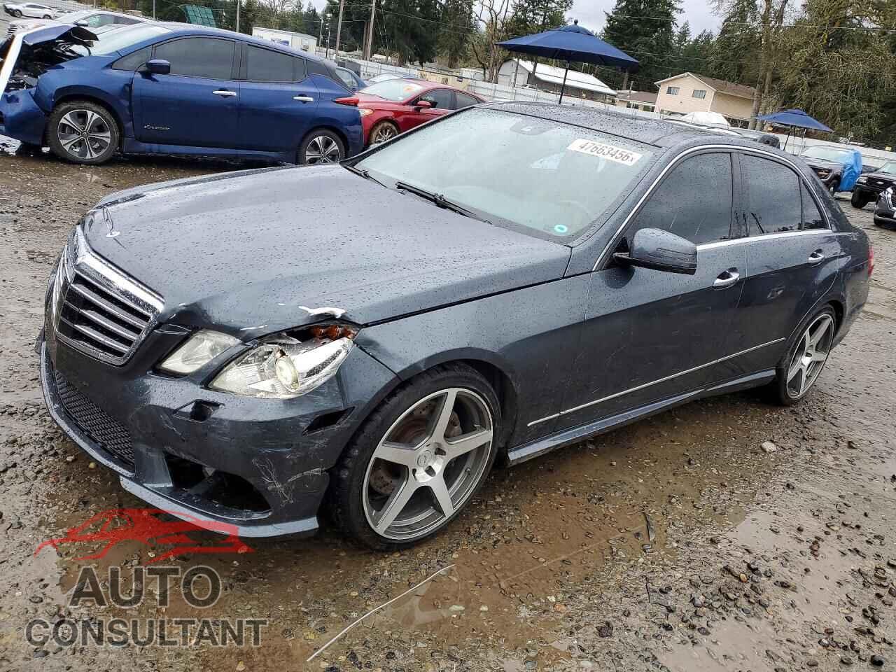MERCEDES-BENZ E-CLASS 2010 - WDDHF7CB9AA018165