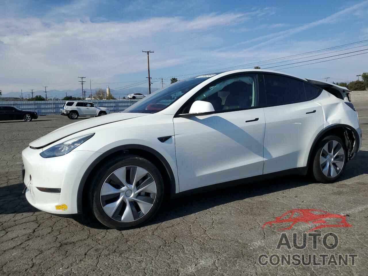 TESLA MODEL Y 2021 - 5YJYGDEE0MF173129