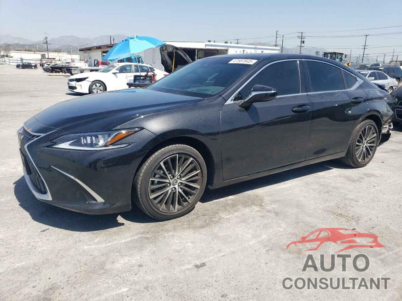 LEXUS ES300 2024 - 58ADA1C19RU041472