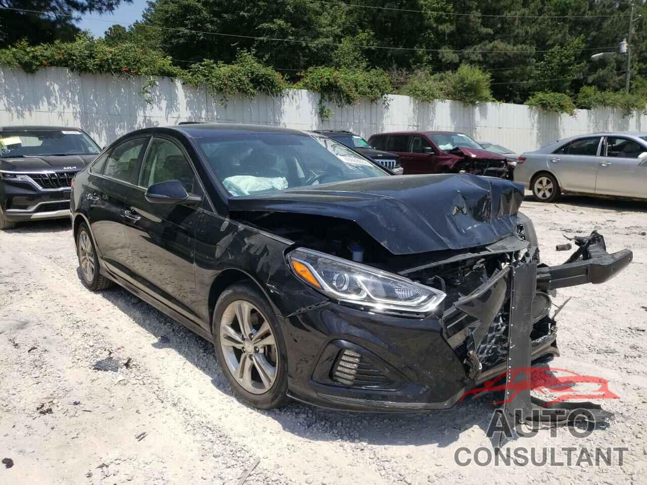 HYUNDAI SONATA 2019 - 5NPE34AF5KH732332