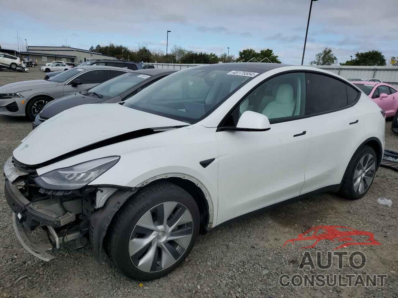 TESLA MODEL Y 2021 - 5YJYGDEE3MF276075