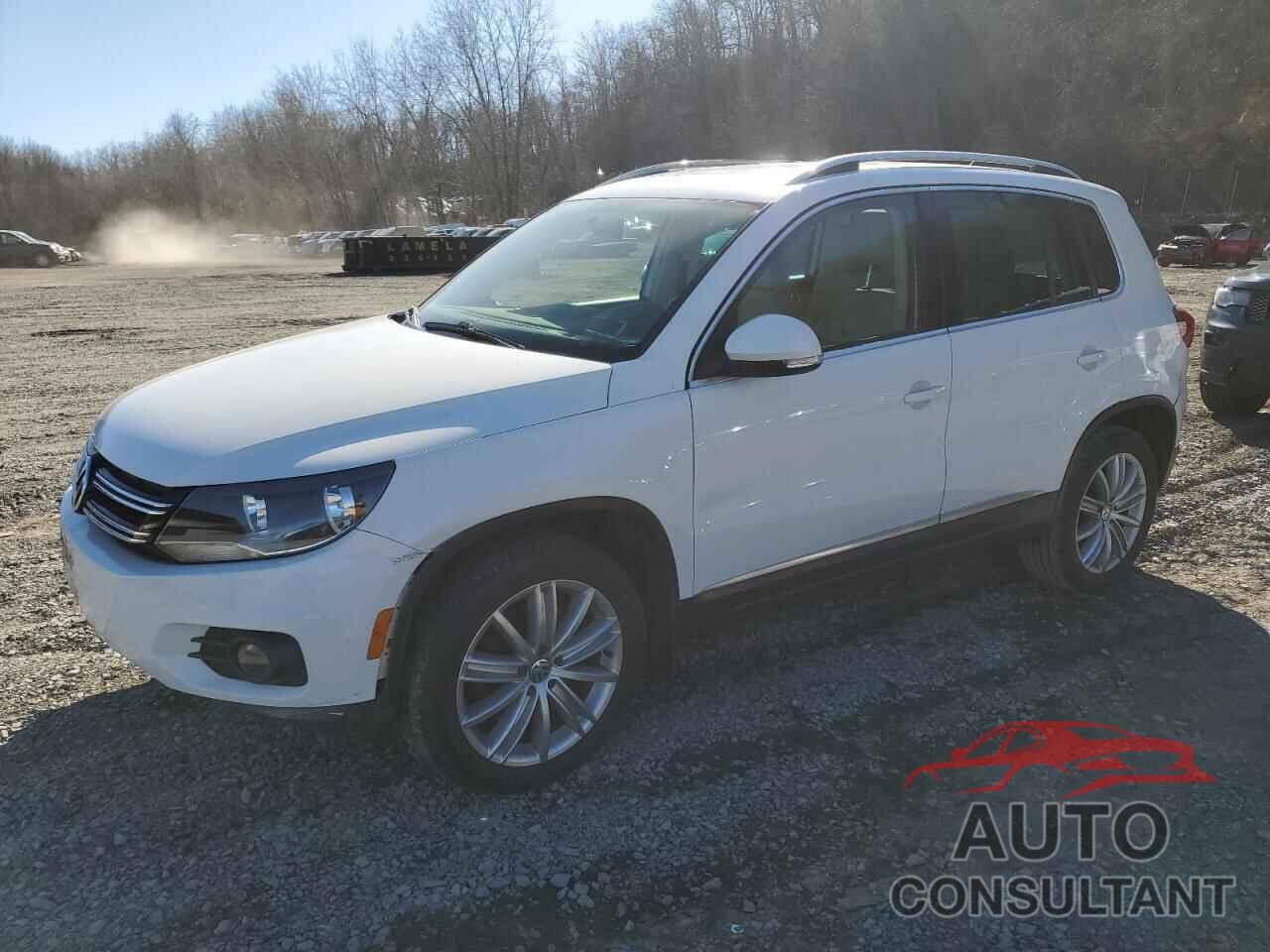 VOLKSWAGEN TIGUAN 2013 - WVGBV3AX3DW591608
