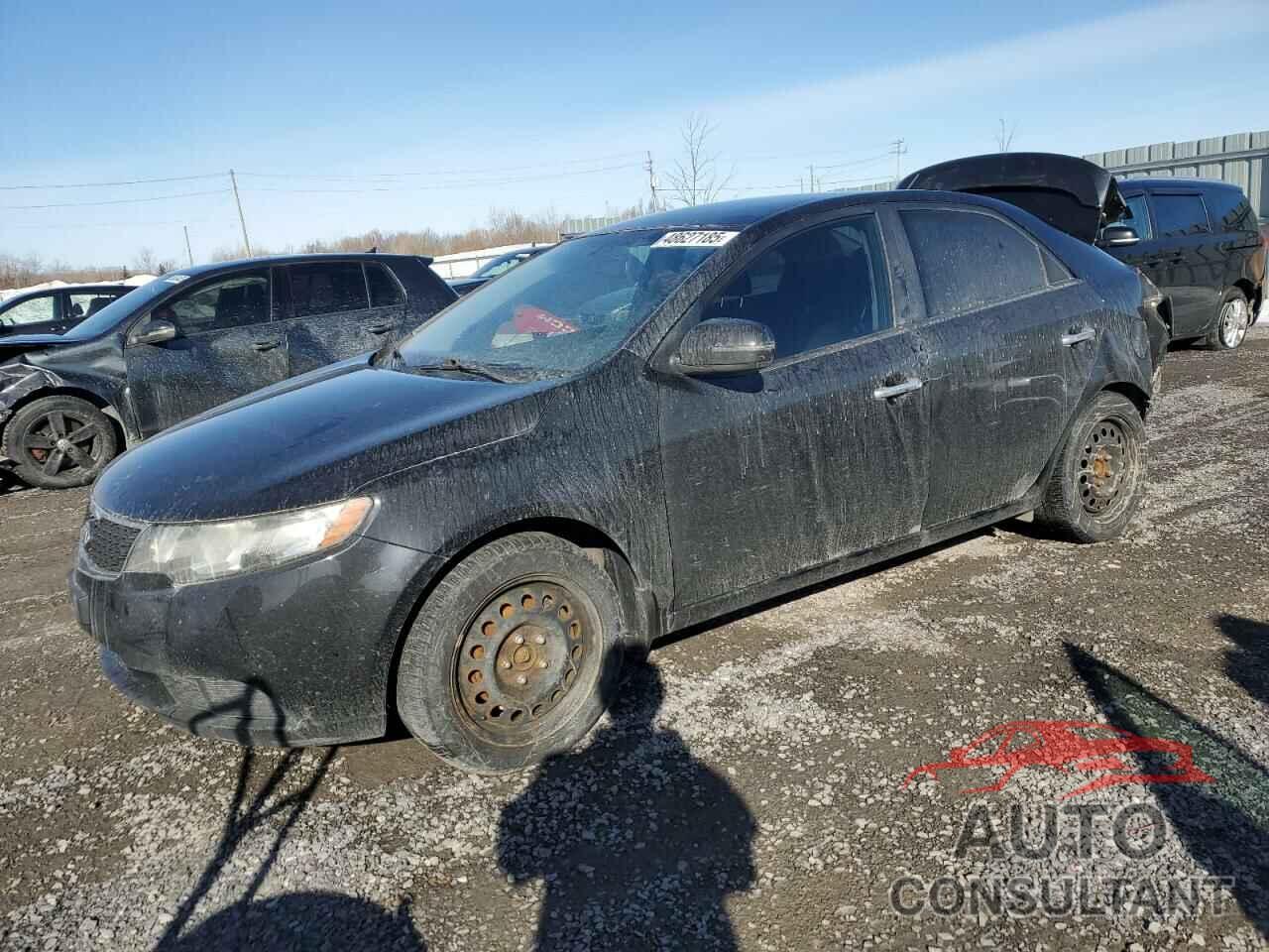KIA FORTE 2012 - KNAFU4A25C5546304