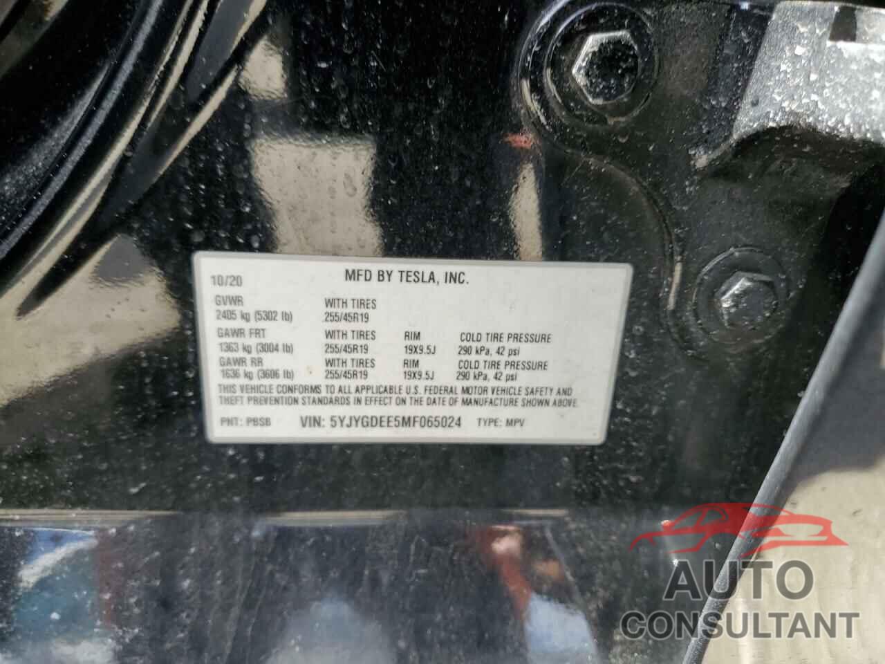 TESLA MODEL Y 2021 - 5YJYGDEE5MF065024