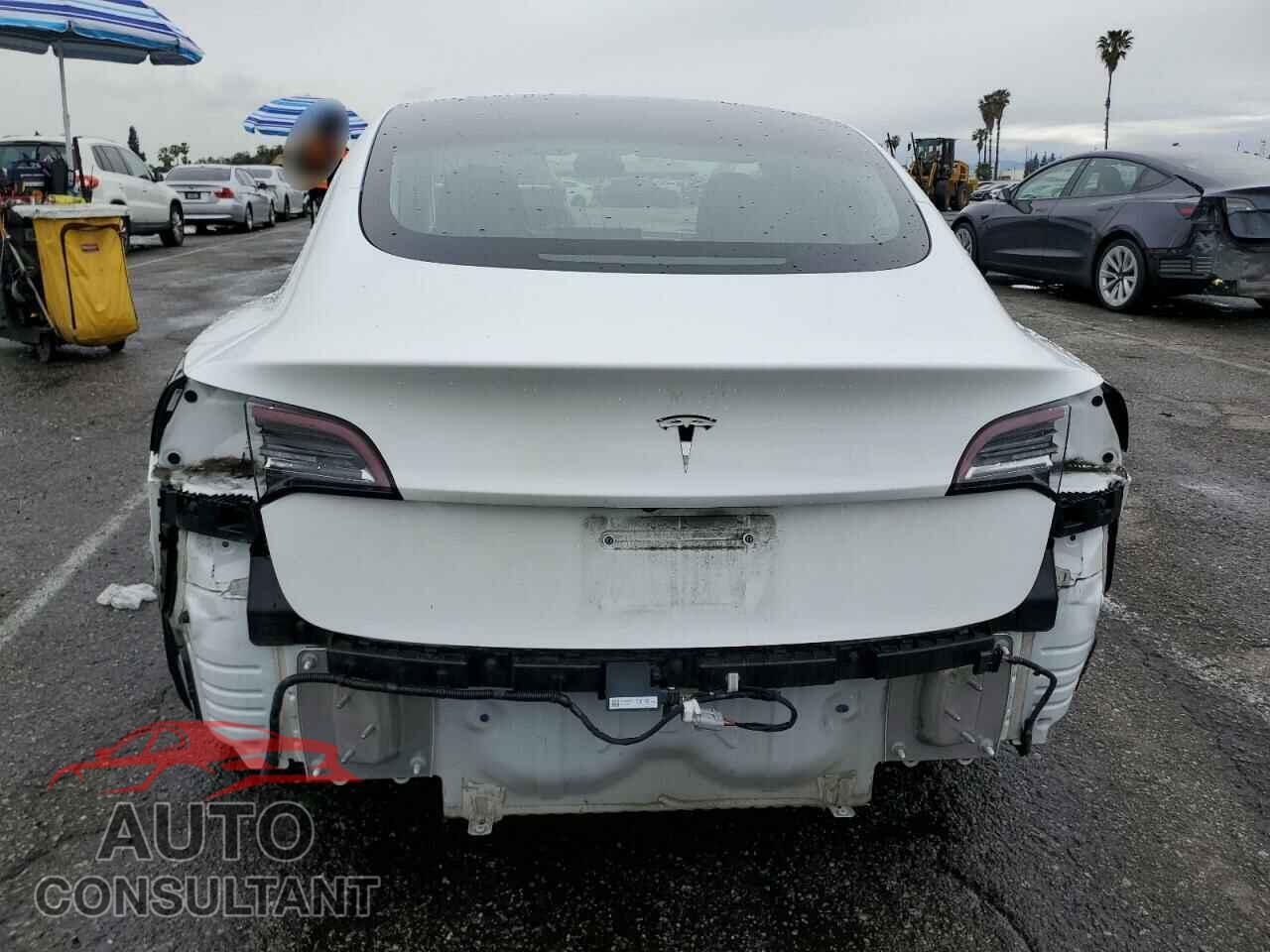 TESLA MODEL 3 2019 - 5YJ3E1EA3KF337854