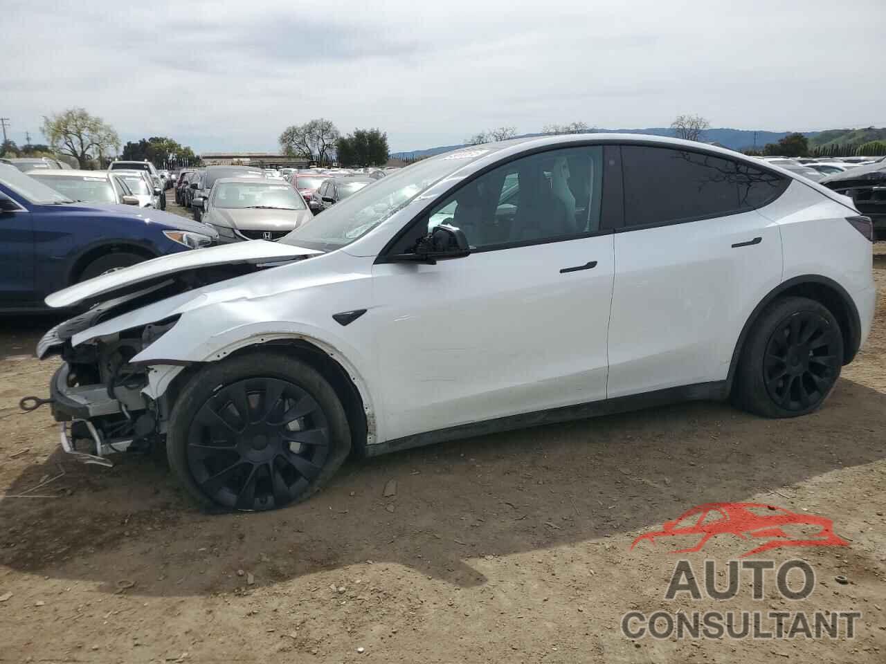 TESLA MODEL Y 2023 - 7SAYGDEE4PF590759