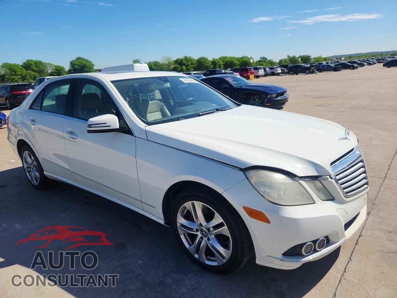 MERCEDES-BENZ E-CLASS 2010 - WDDHF5GB2AA031581