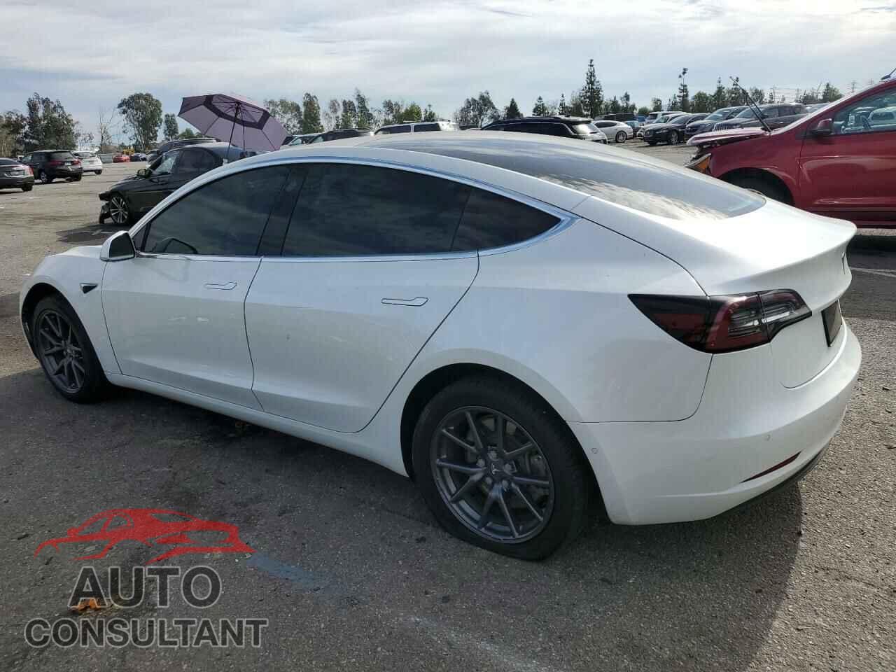 TESLA MODEL 3 2019 - 5YJ3E1EA3KF300030