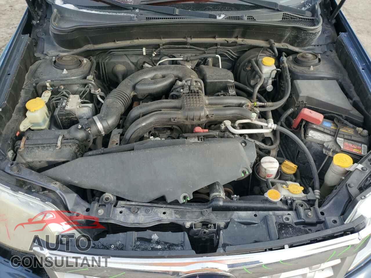 SUBARU FORESTER 2011 - JF2SHAEC3BH769124