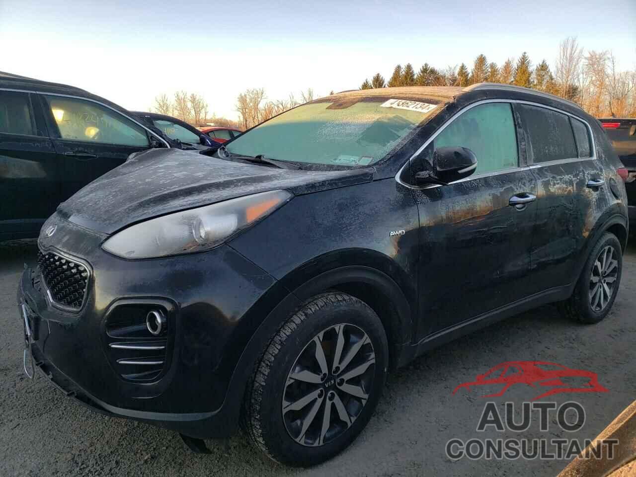 KIA SPORTAGE 2017 - KNDPNCAC9H7078838