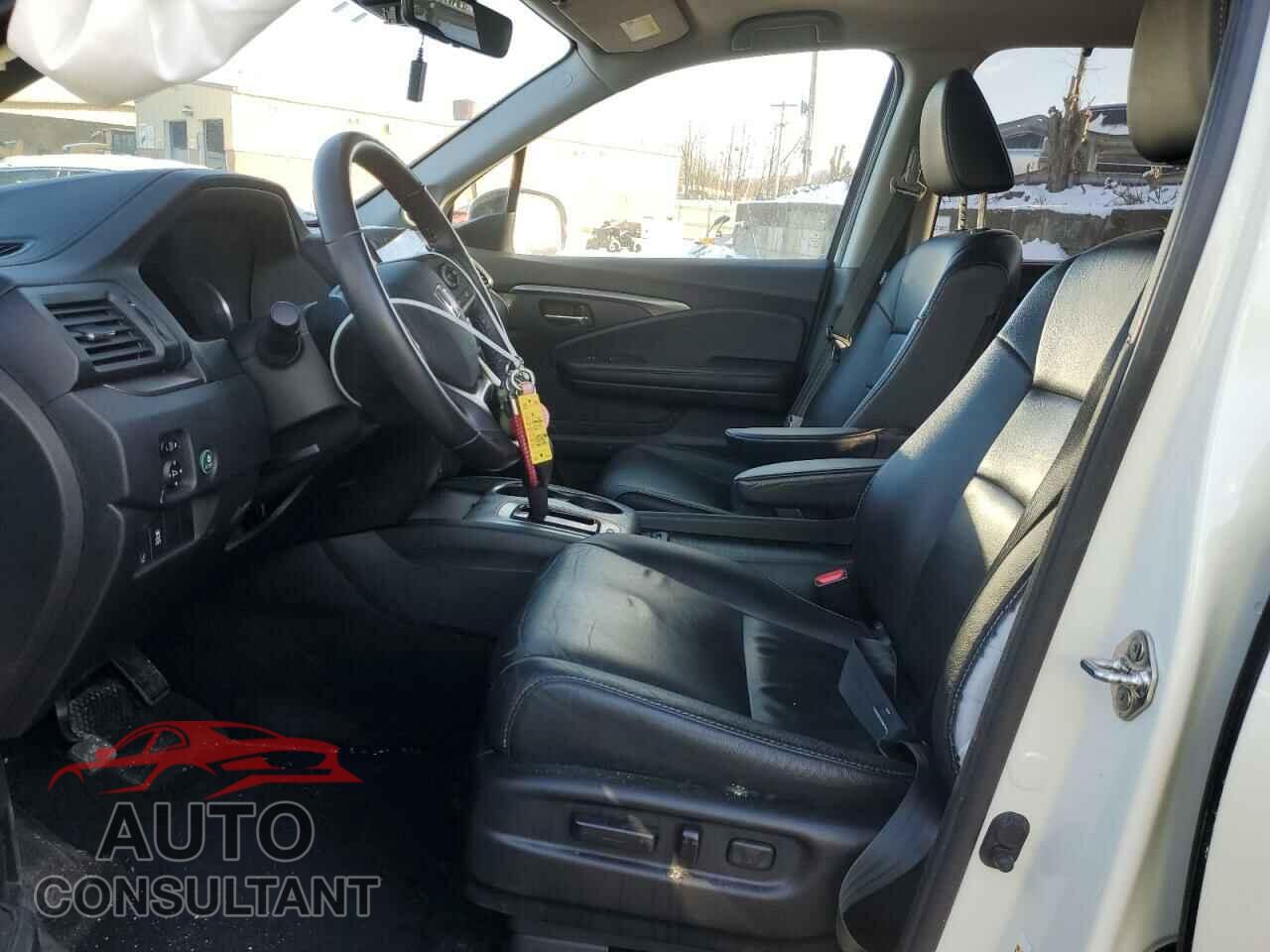 HONDA PILOT 2019 - 5FNYF6H51KB084242