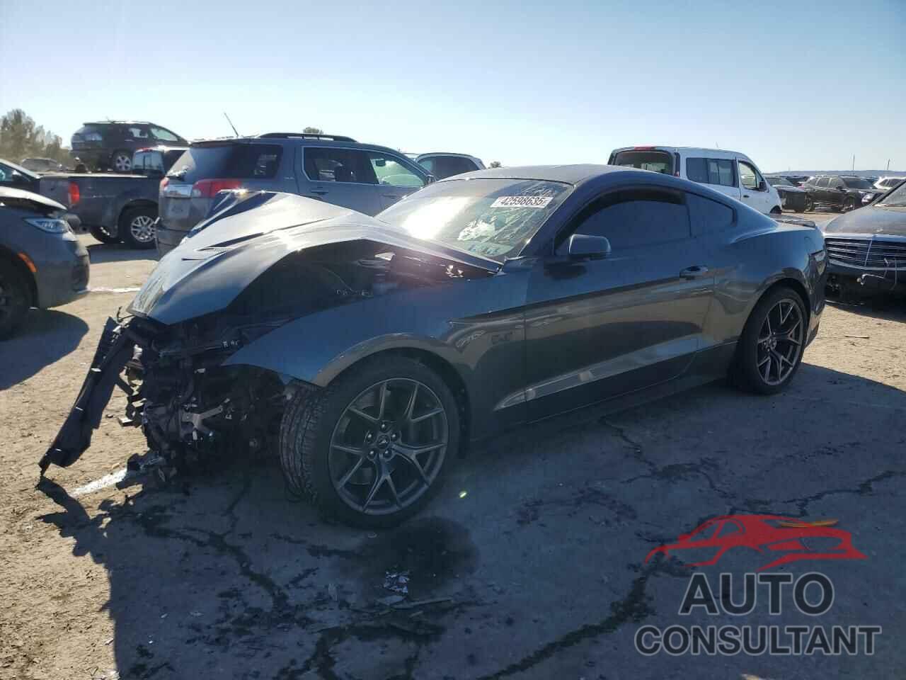 FORD MUSTANG 2019 - 1FA6P8CF6K5133281
