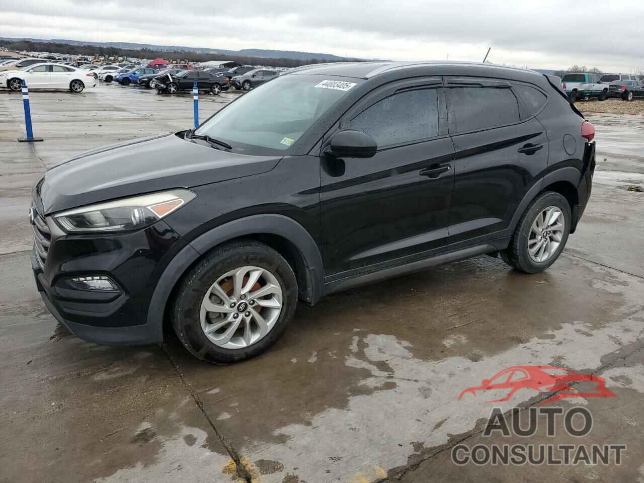 HYUNDAI TUCSON 2016 - KM8J3CA47GU036281