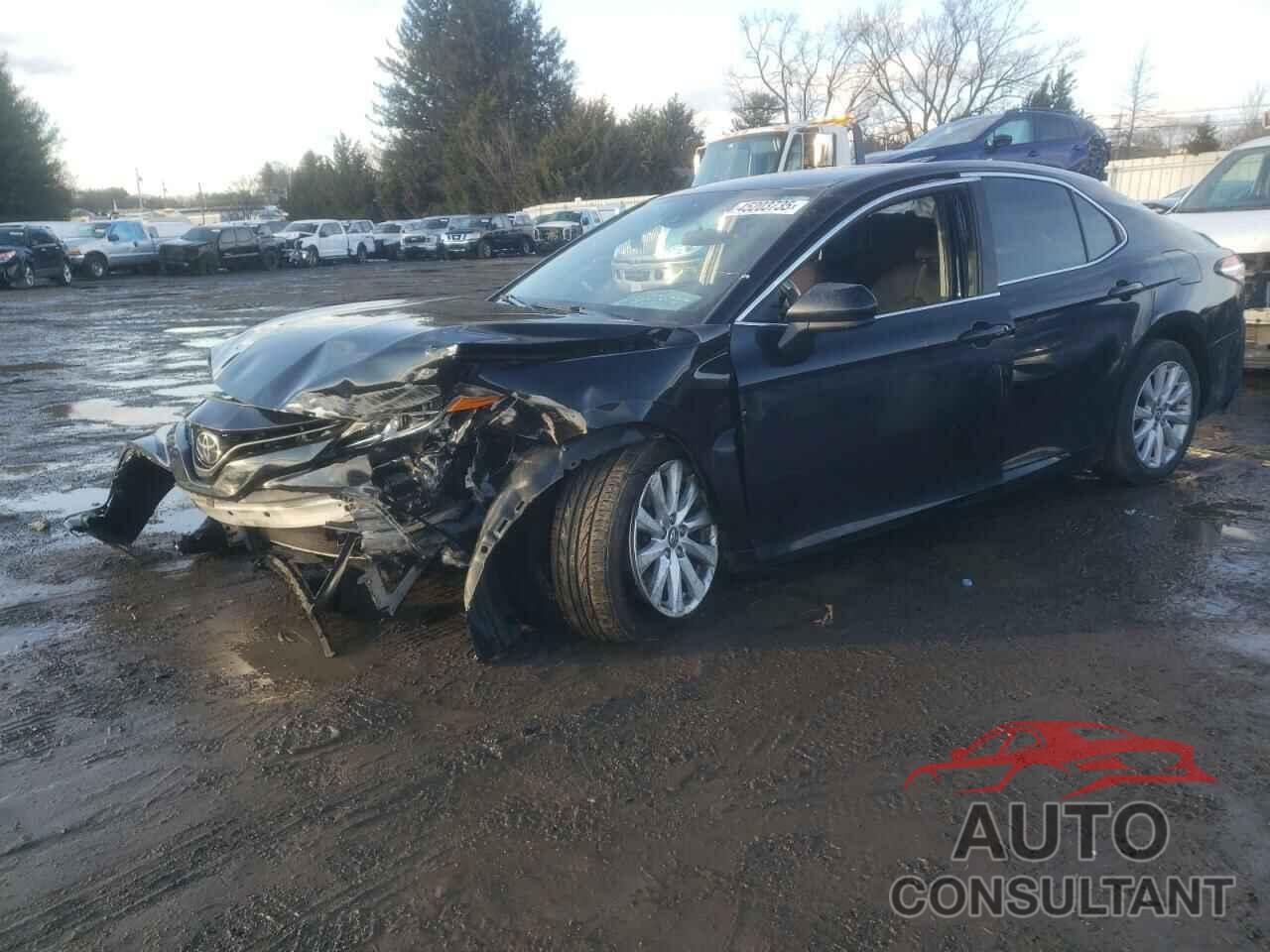 TOYOTA CAMRY 2019 - 4T1B11HKXKU811295