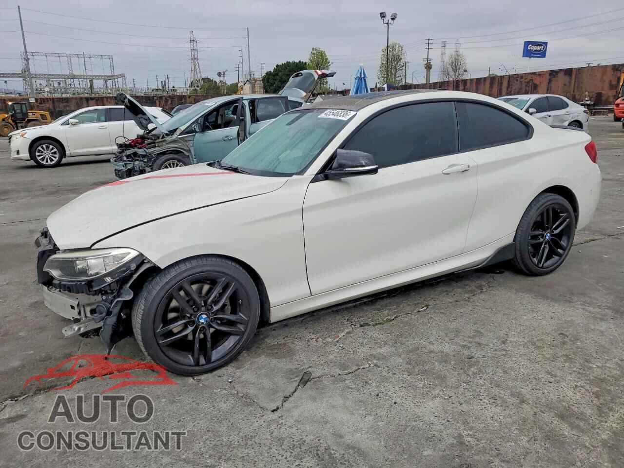BMW 2 SERIES 2016 - WBA1G9C51GV726357
