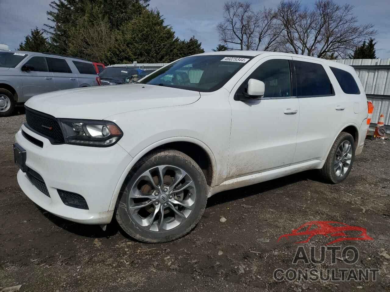 DODGE All Models 2019 - 1C4RDJDG8KC770487
