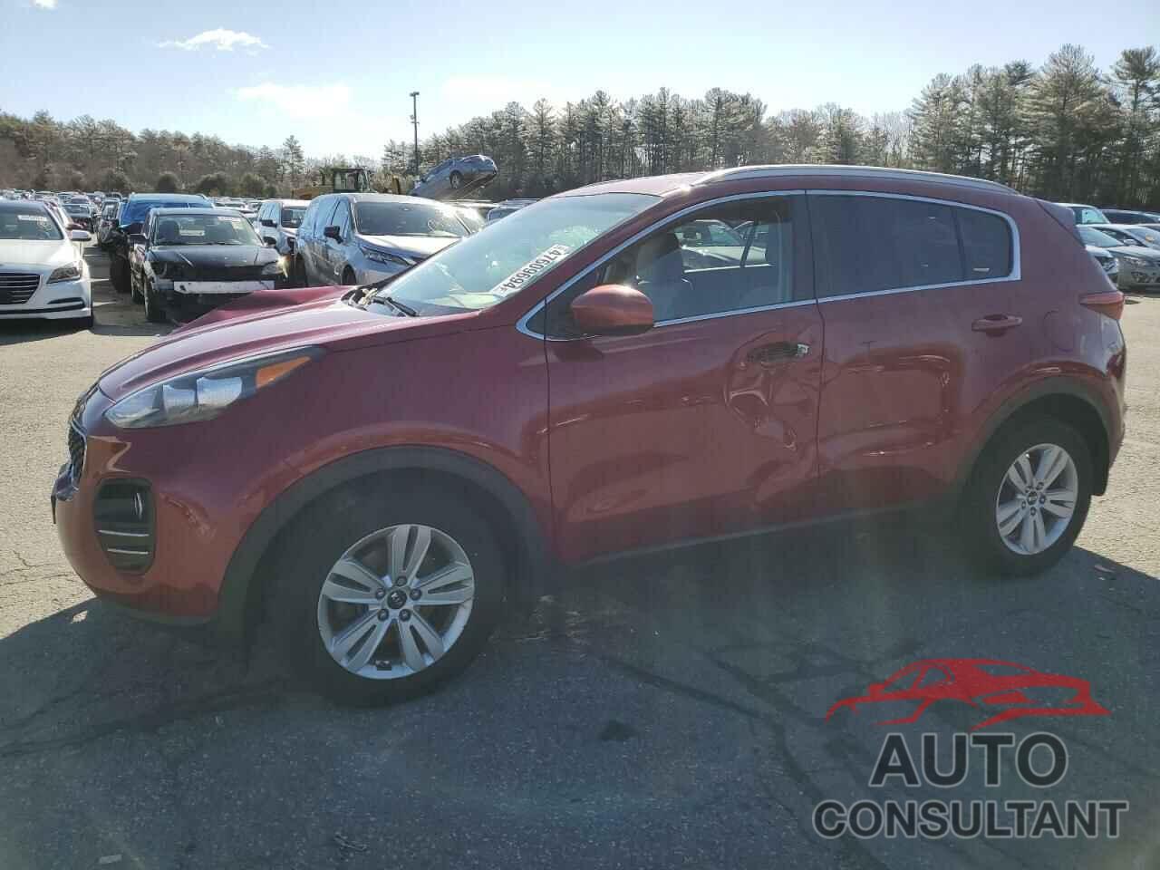 KIA SPORTAGE 2017 - KNDPMCAC4H7238403