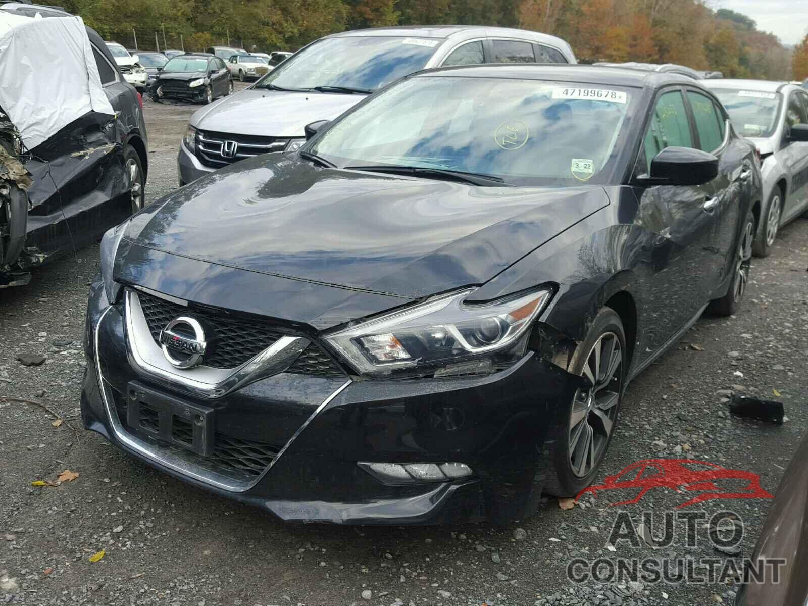 NISSAN MAXIMA 2017 - 1N4AA6AP8HC414353