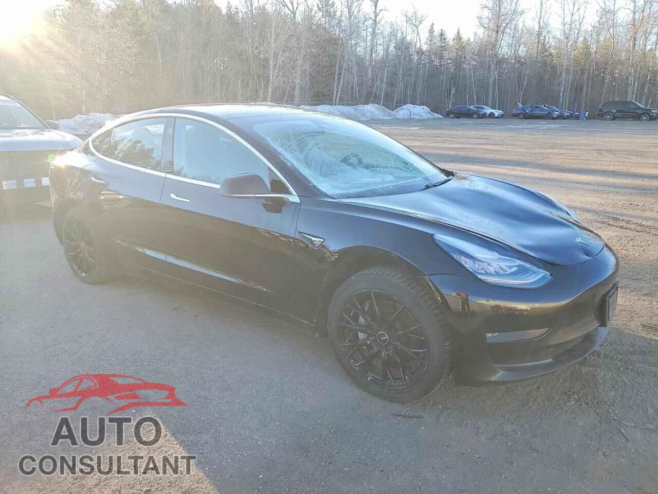 TESLA MODEL 3 2019 - 5YJ3E1EA3KF362012