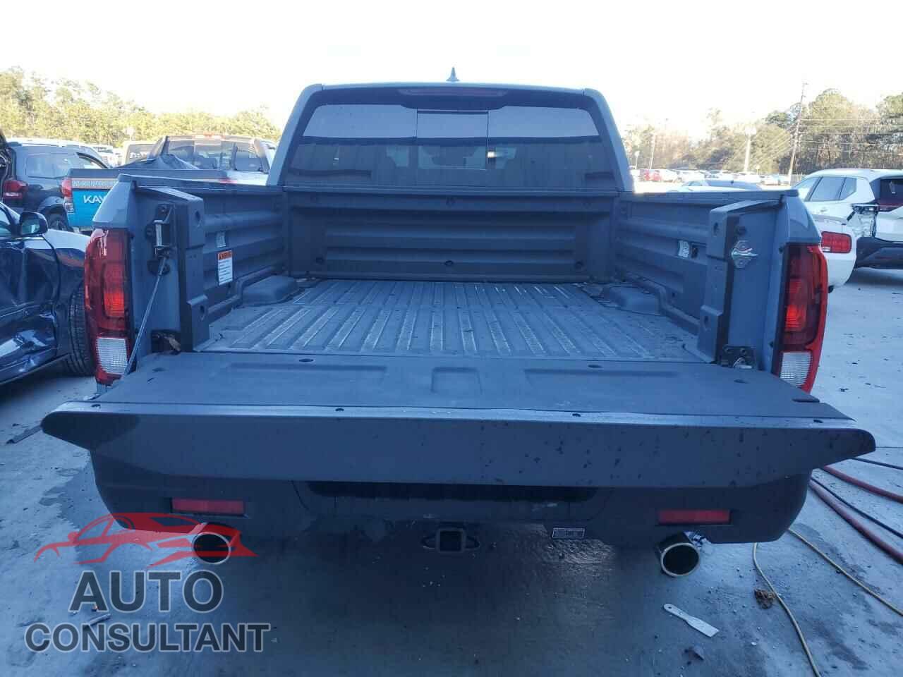 HONDA RIDGELINE 2024 - 5FPYK3F56RB030210
