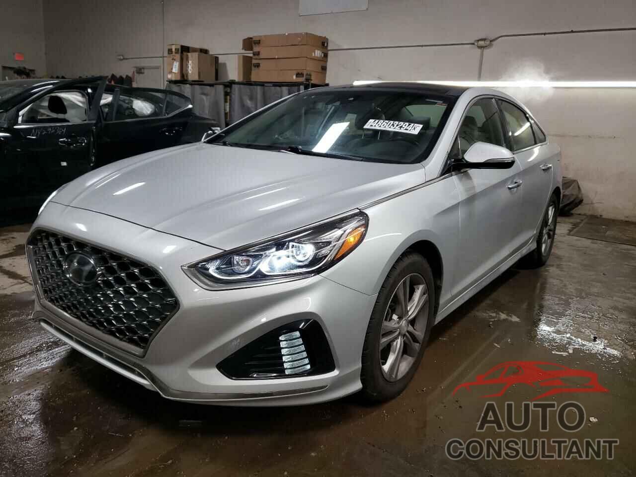 HYUNDAI SONATA 2019 - 5NPE34AF7KH737953