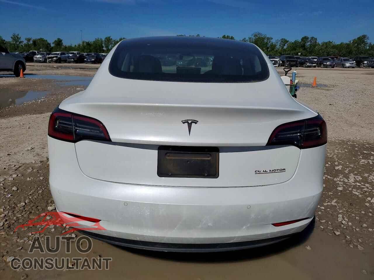 TESLA MODEL 3 2019 - 5YJ3E1EB8KF433231