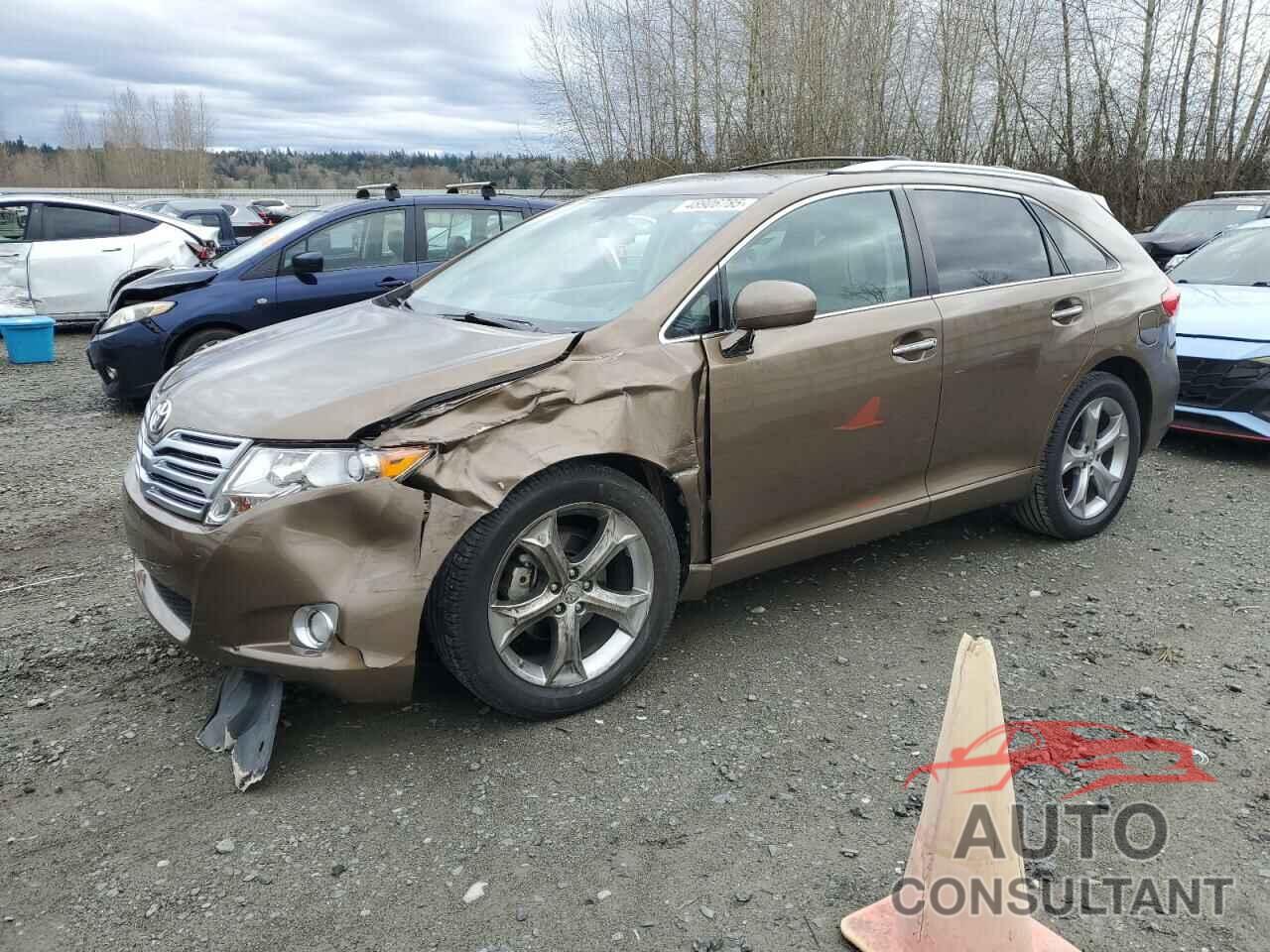 TOYOTA VENZA 2010 - 4T3ZK3BB8AU026764