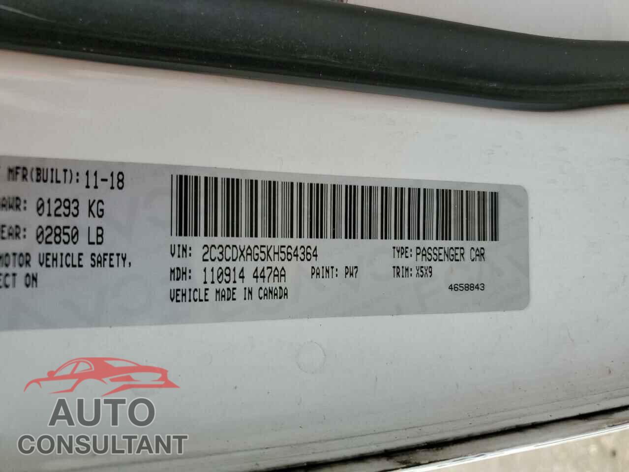 DODGE CHARGER 2019 - 2C3CDXAG5KH564364