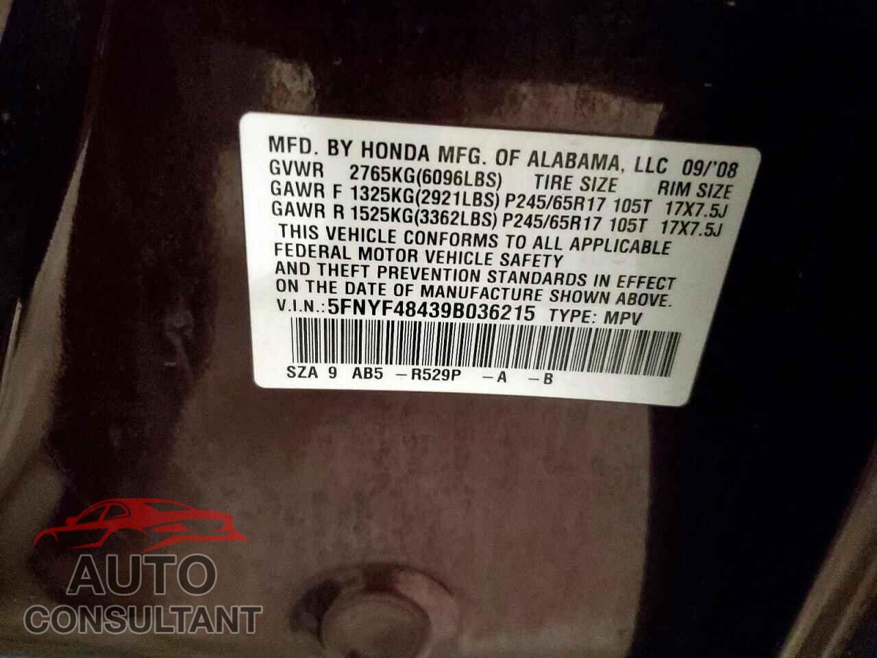 HONDA PILOT 2009 - 5FNYF48439B036215