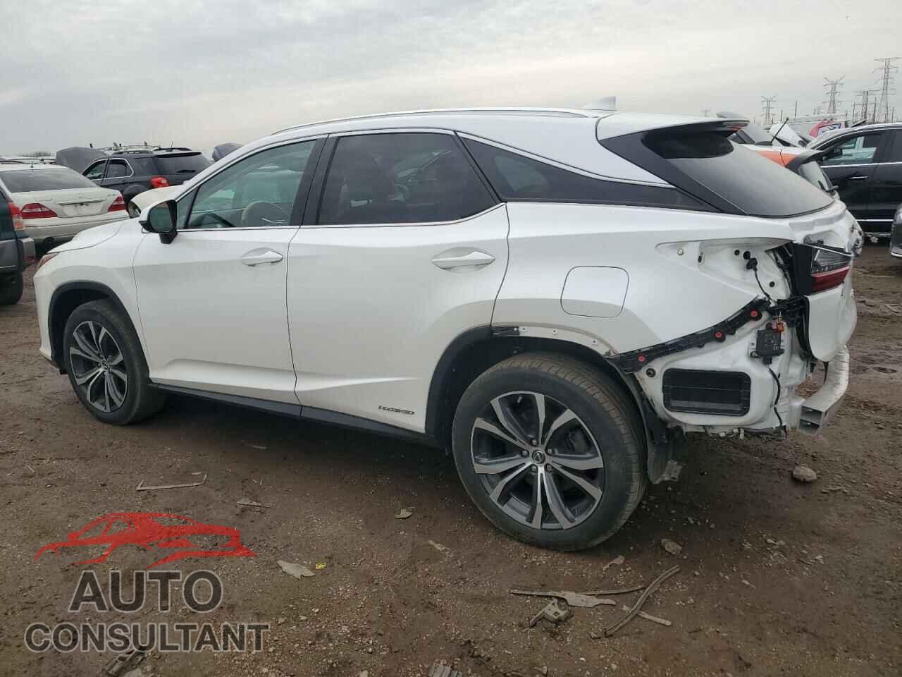 LEXUS RX450 2019 - 2T2BGMCA3KC039265