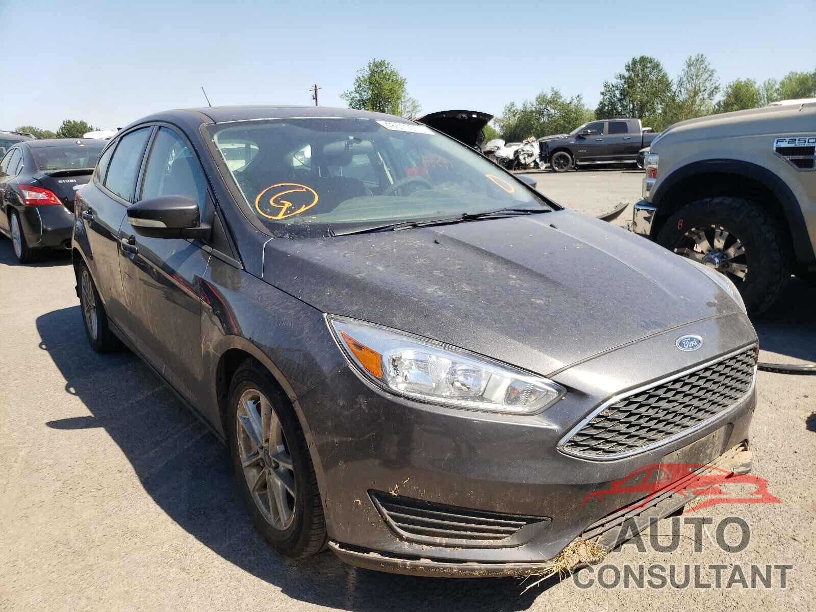 FORD FOCUS 2016 - 1FADP3K24GL213609