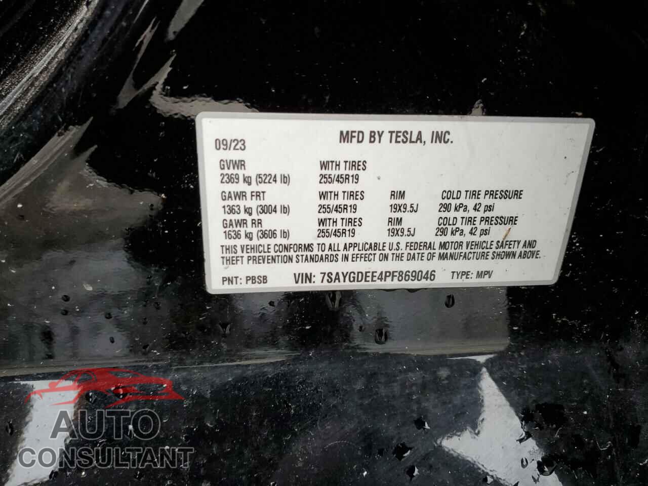 TESLA MODEL Y 2023 - 7SAYGDEE4PF869046