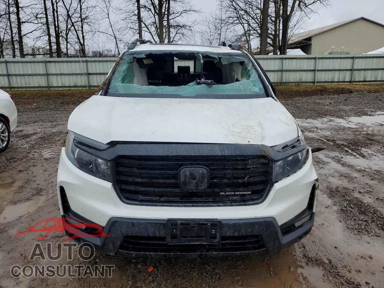HONDA RIDGELINE 2021 - 5FPYK3F86MB009750