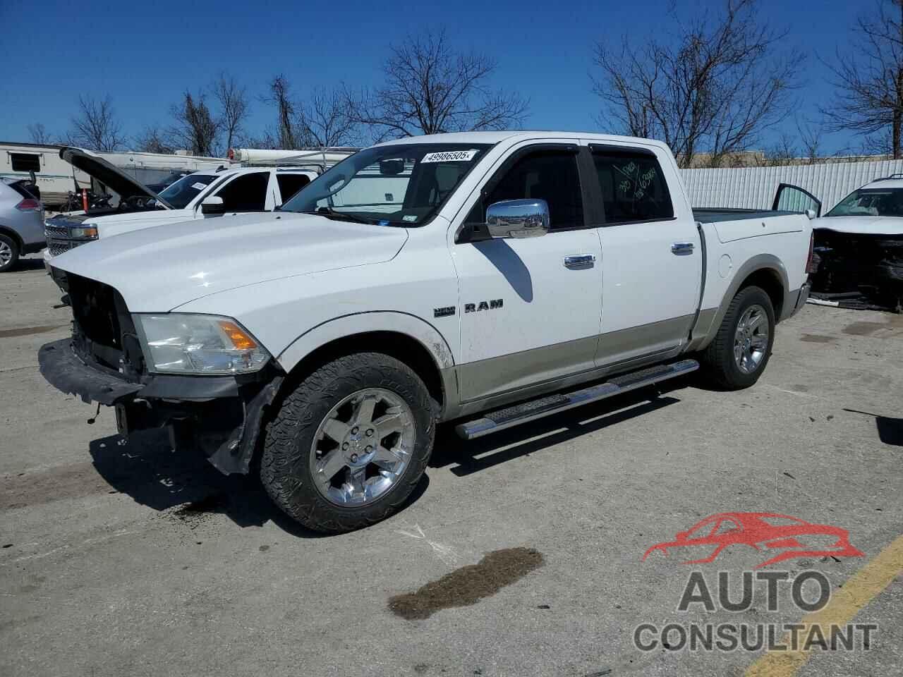 DODGE All Models 2010 - 1D7RB1CT9AS160337