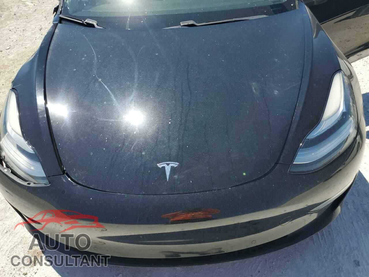 TESLA MODEL 3 2019 - 5YJ3E1EB4KF442461