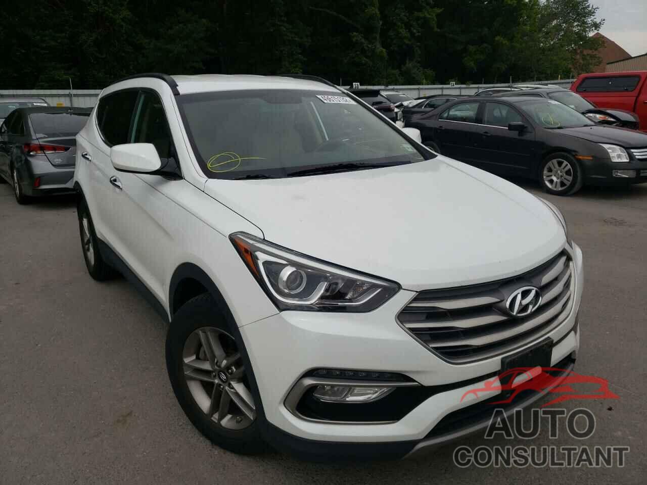 HYUNDAI SANTA FE 2017 - 5NMZUDLB0HH013102