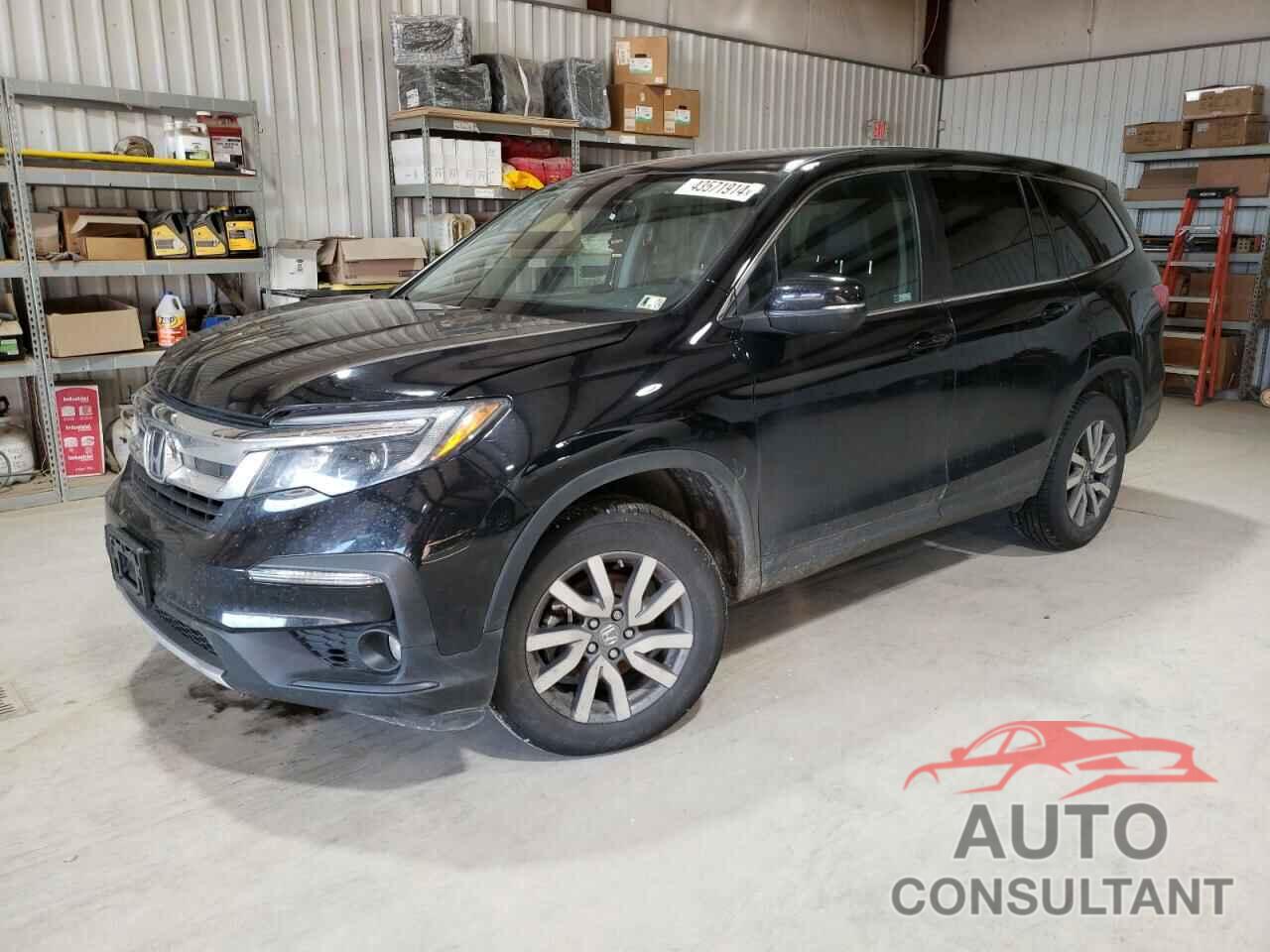 HONDA PILOT 2019 - 5FNYF6H56KB078520