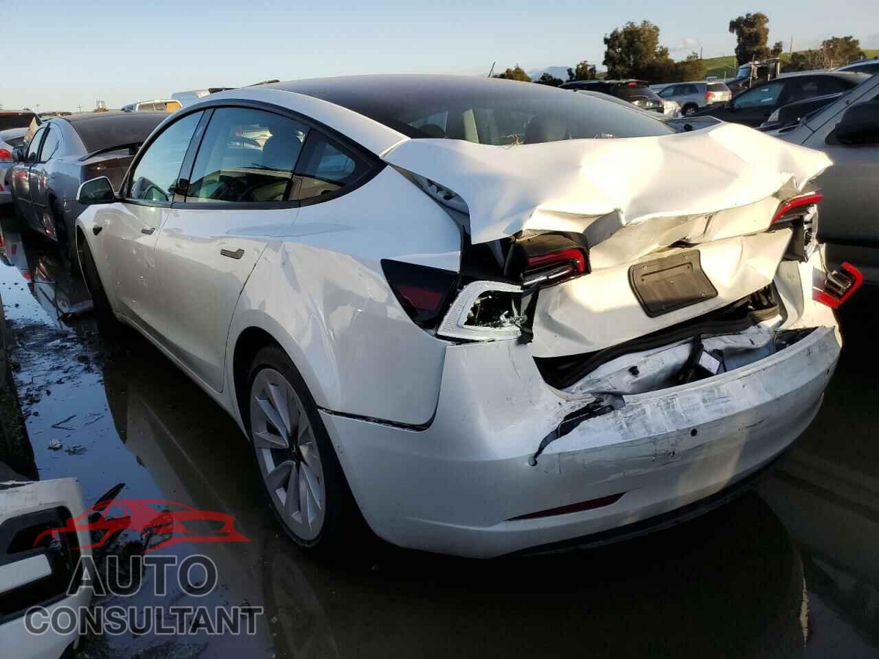 TESLA MODEL 3 2021 - 5YJ3E1EA5MF047179