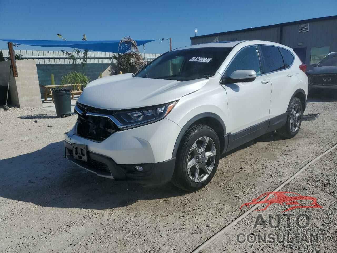 HONDA CRV 2019 - 2HKRW2H5XKH623195