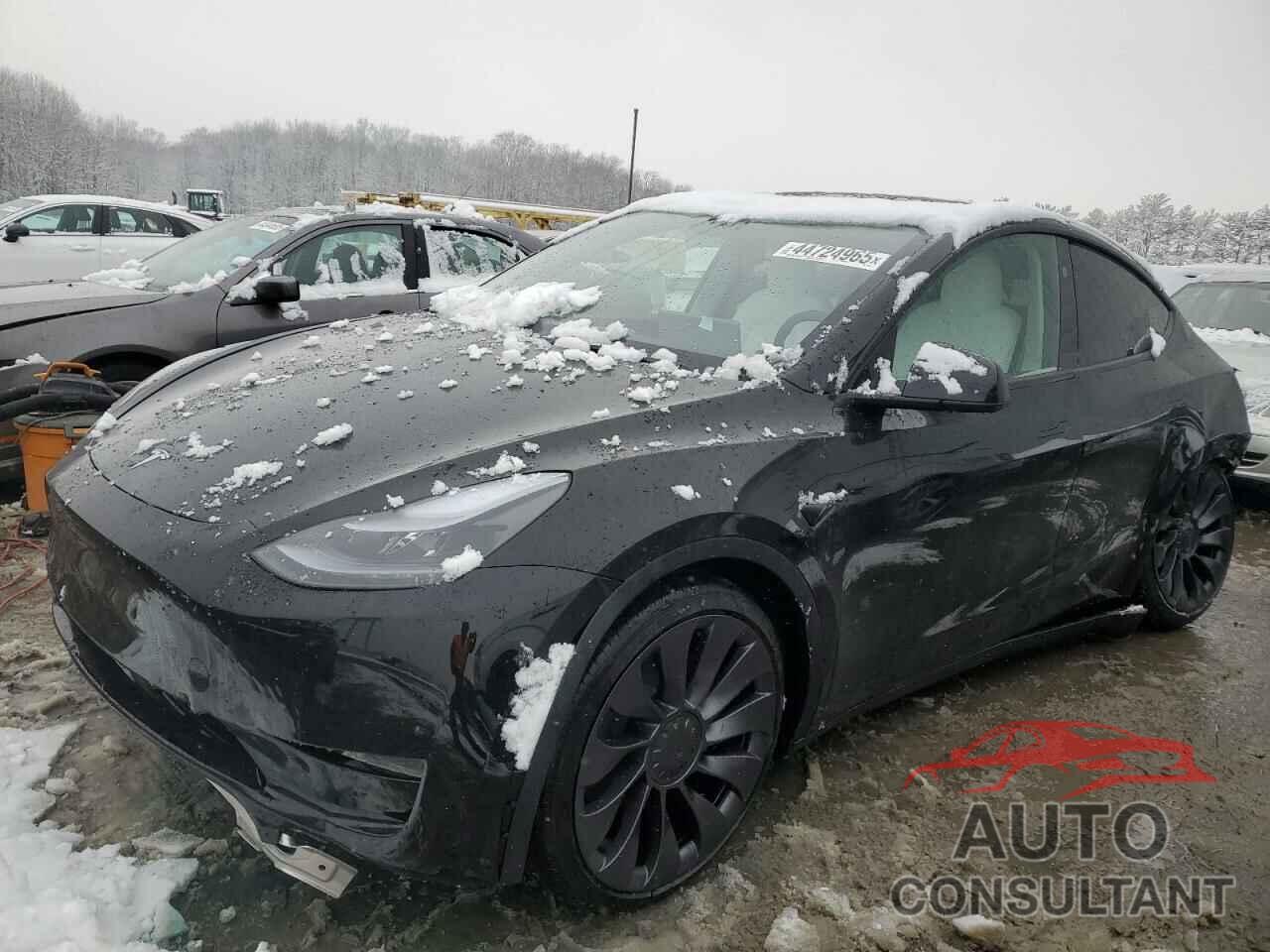 TESLA MODEL Y 2025 - 7SAYGDEF2SA348647