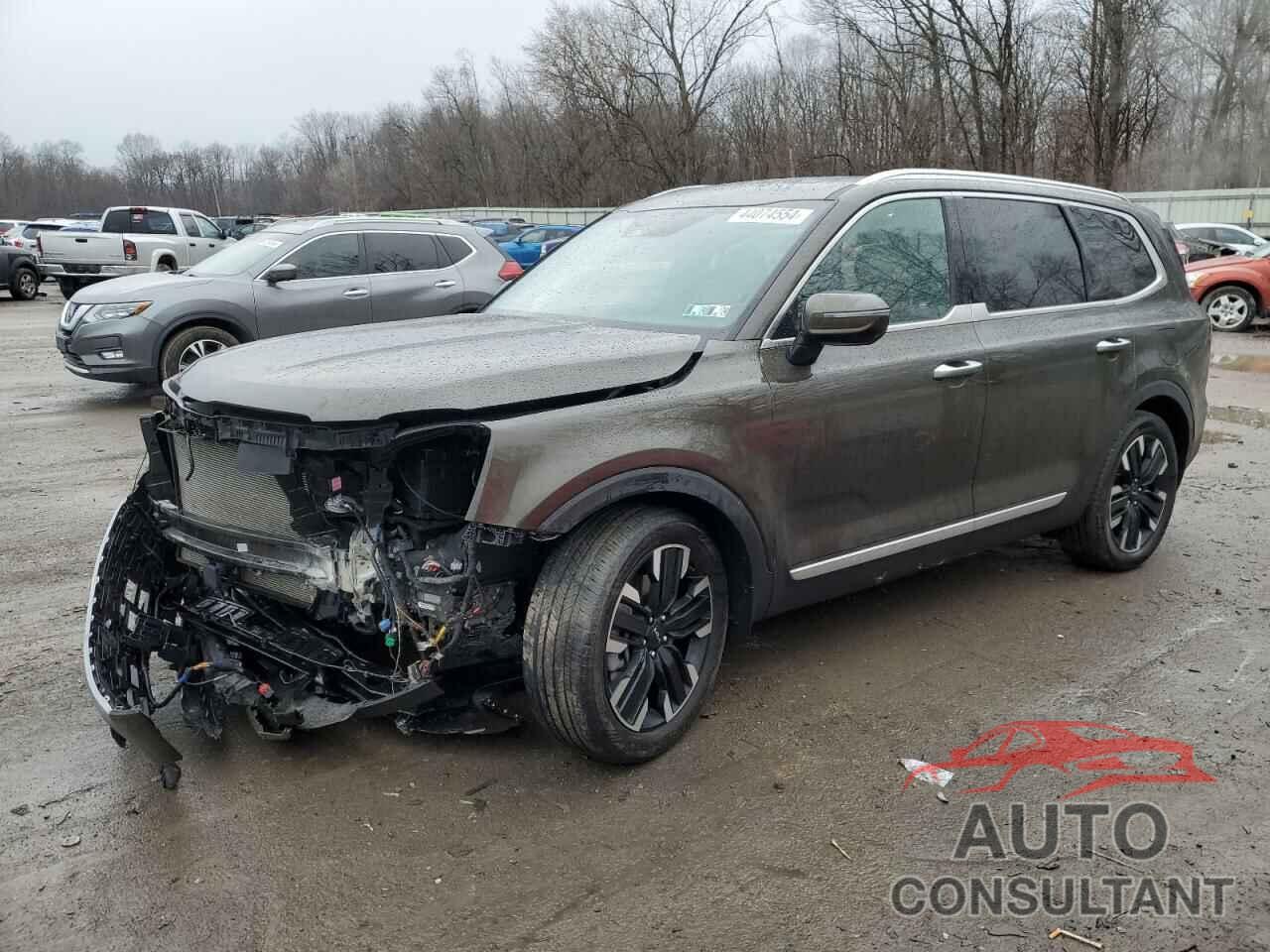 KIA TELLURIDE 2023 - 5XYP5DGC6PG362331