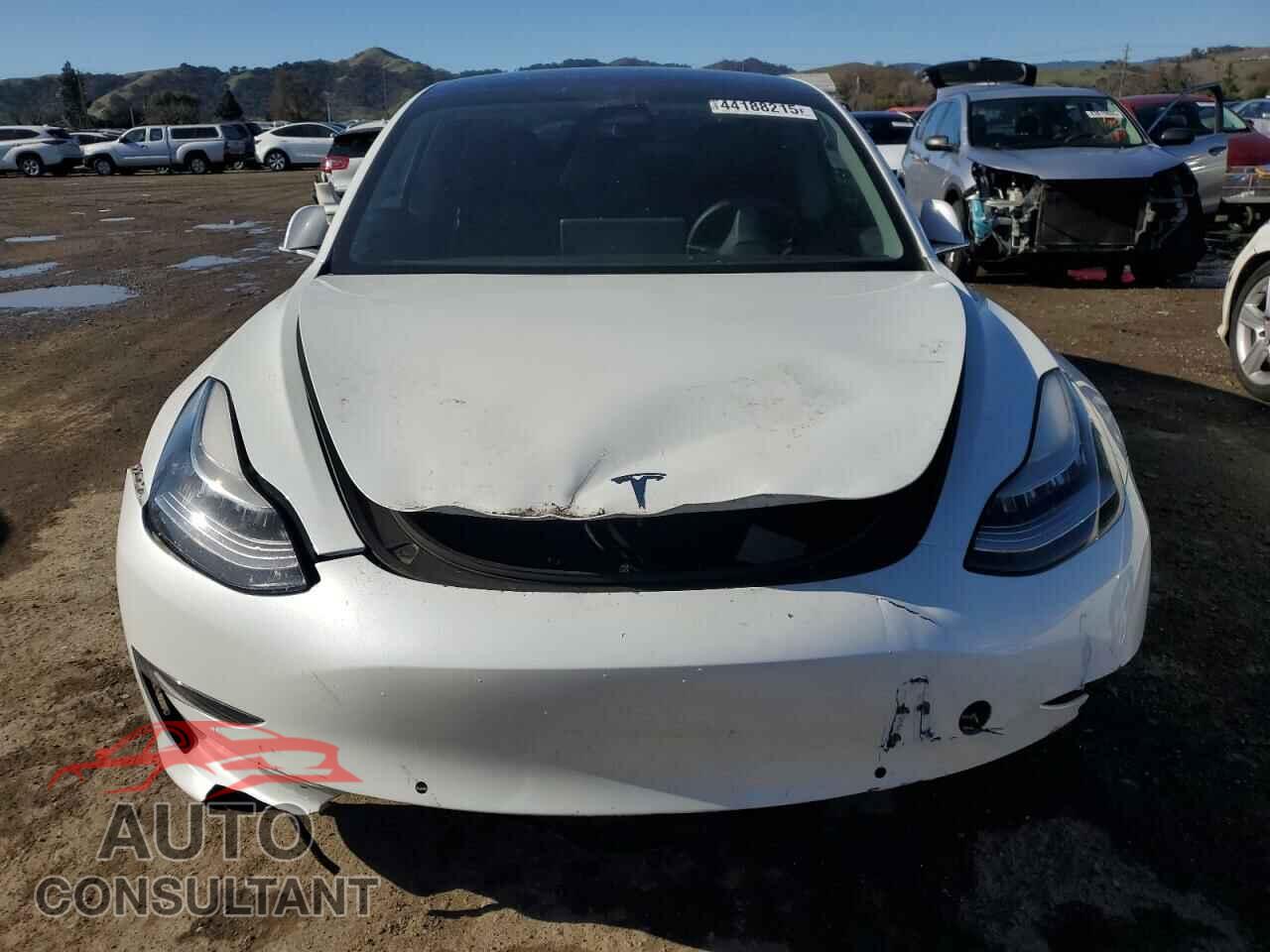 TESLA MODEL 3 2019 - 5YJ3E1EA7KF425130