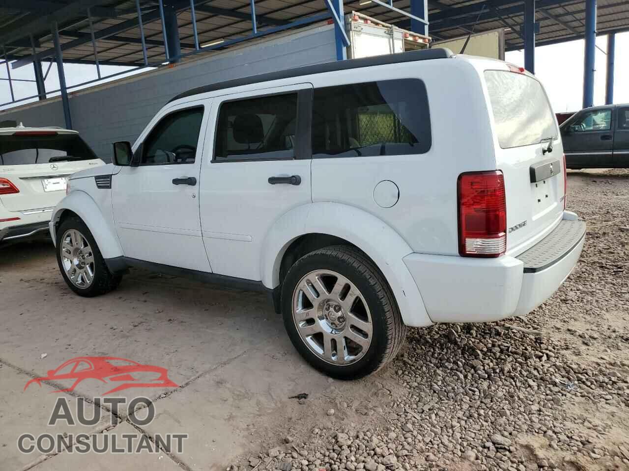 DODGE NITRO 2011 - 1D4PT4GK6BW528939