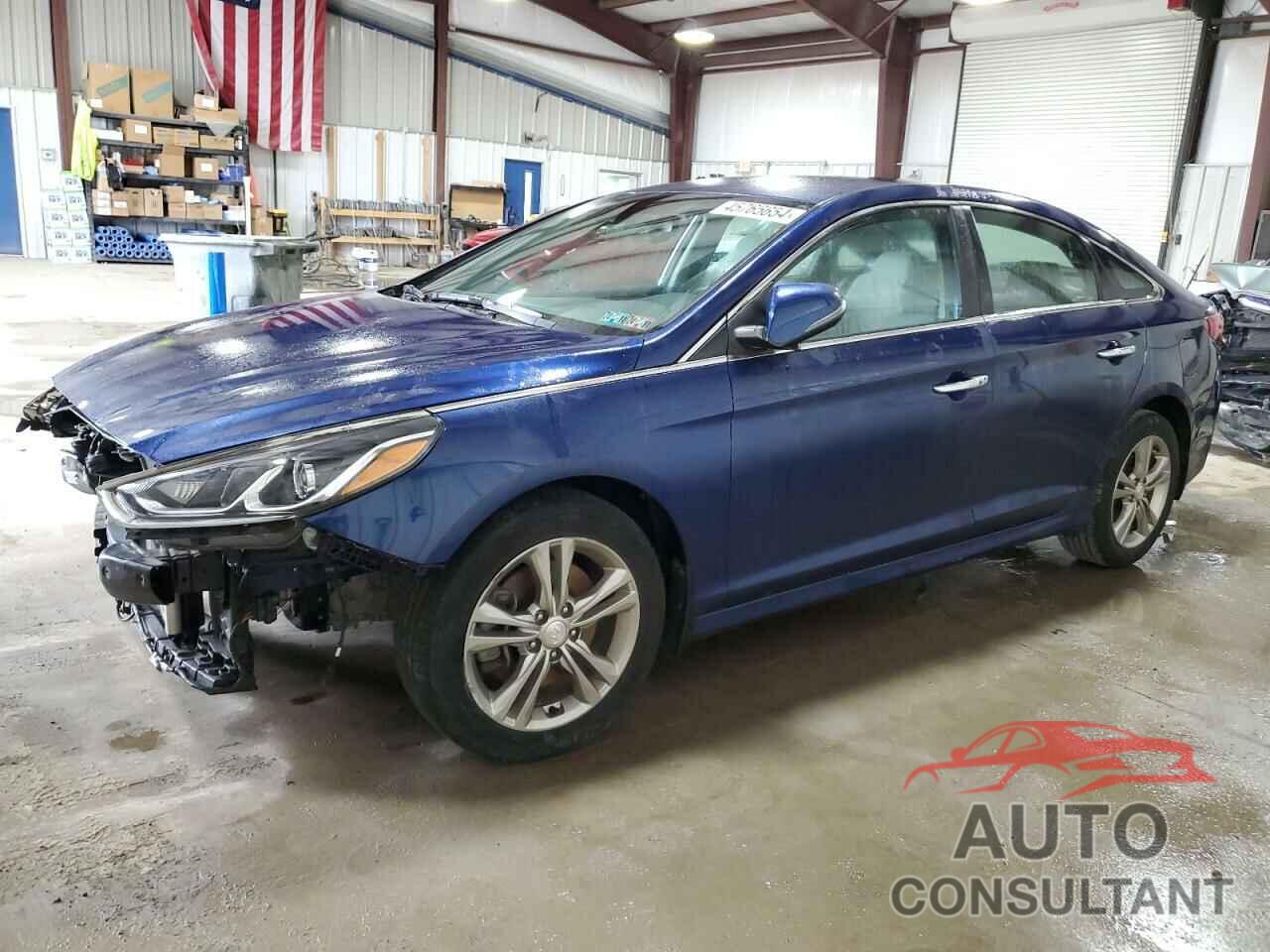 HYUNDAI SONATA 2019 - 5NPE34AF7KH815583