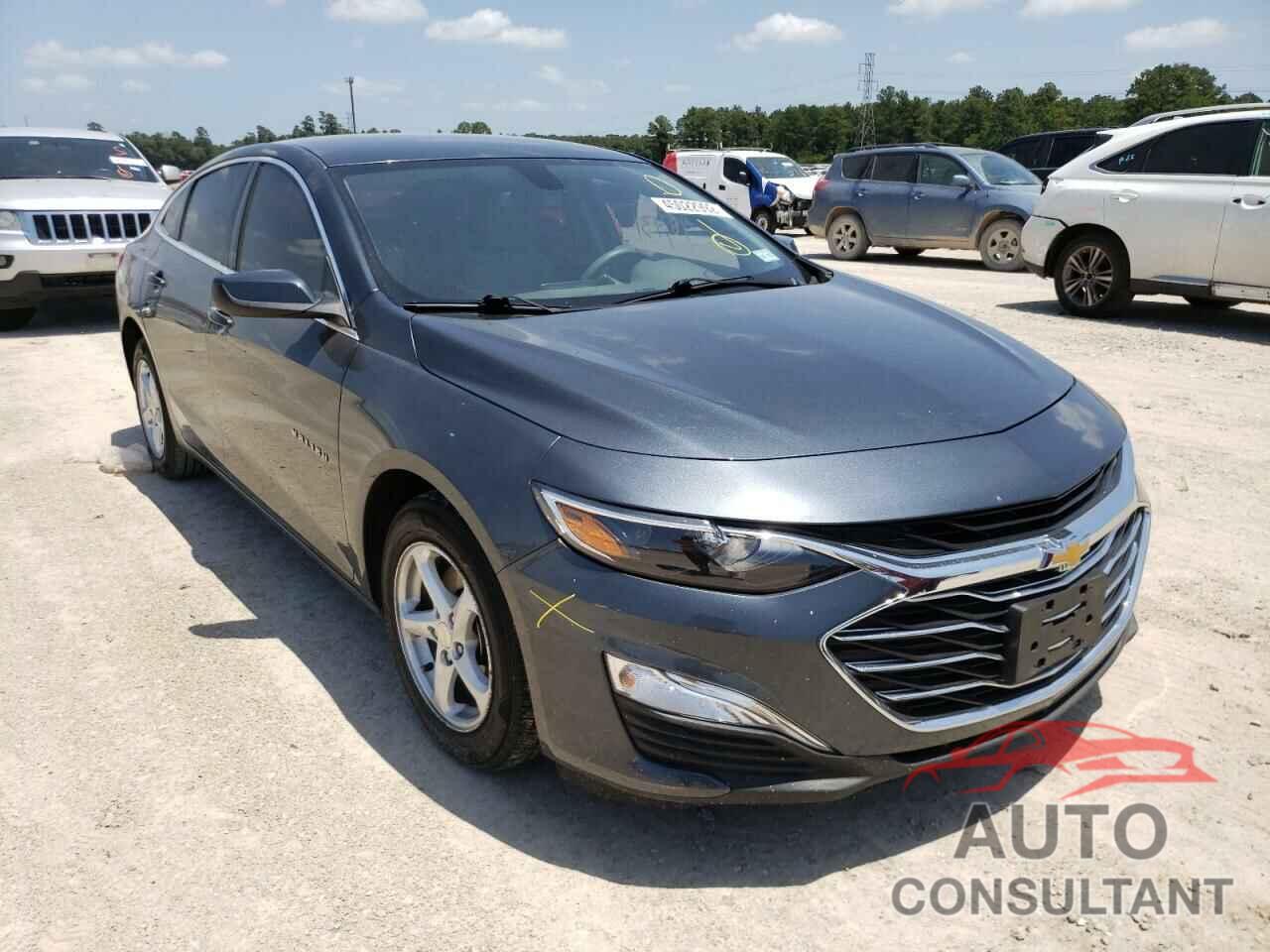 CHEVROLET MALIBU 2019 - 1G1ZB5ST9KF183235