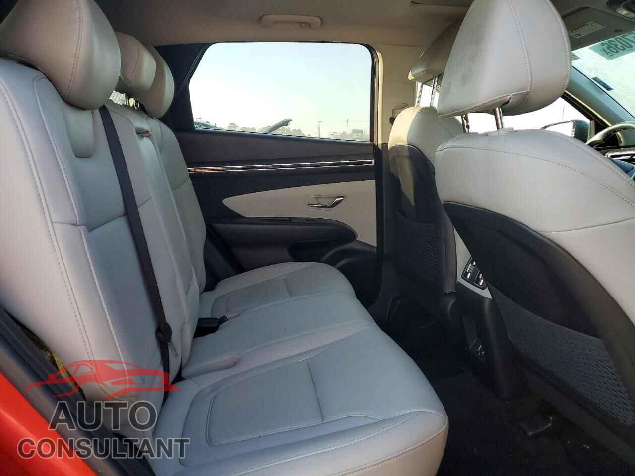 HYUNDAI TUCSON 2023 - 5NMJFCAEXPH217841