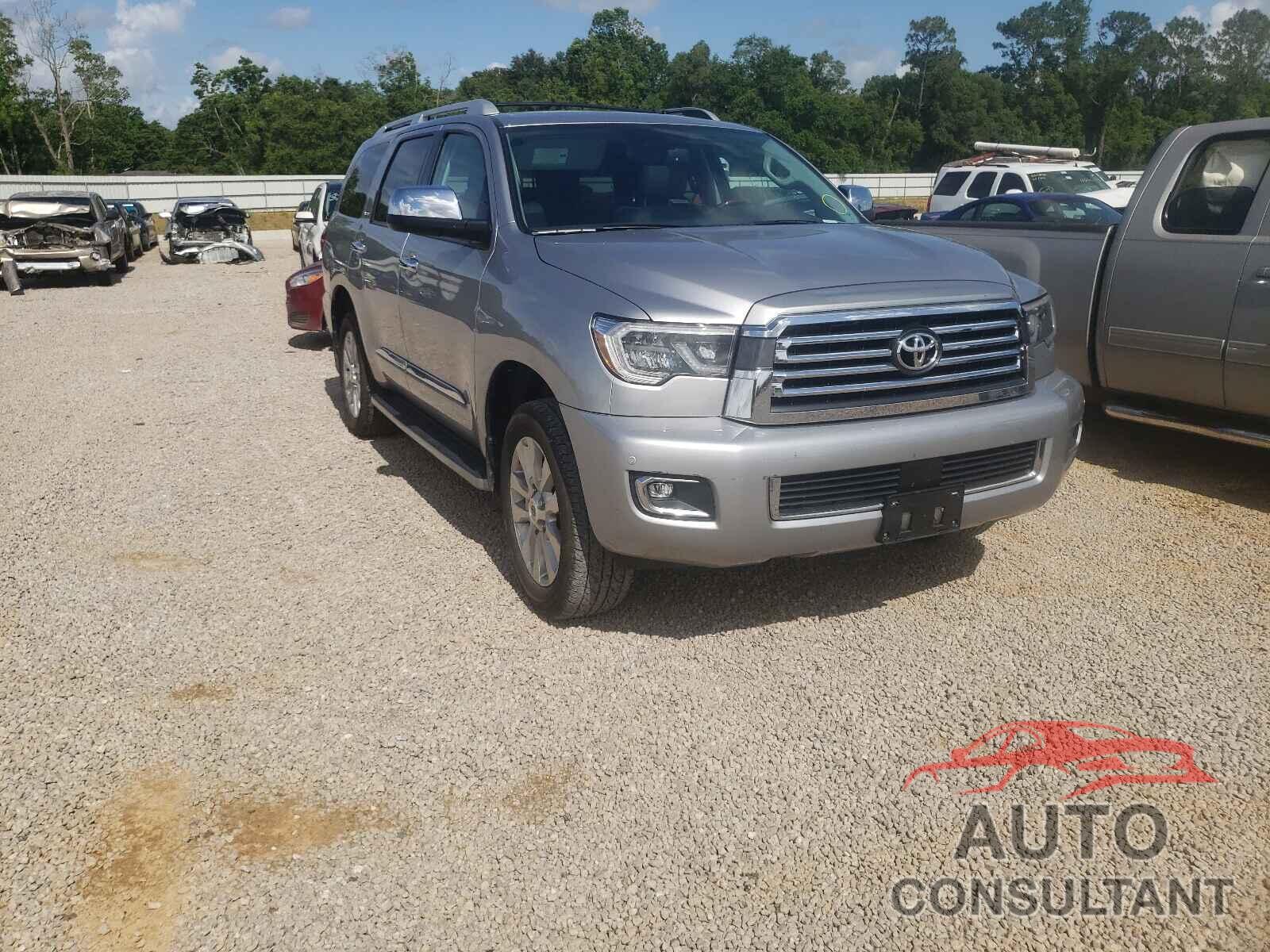 TOYOTA SEQUOIA 2019 - 5TDDY5G11KS173452