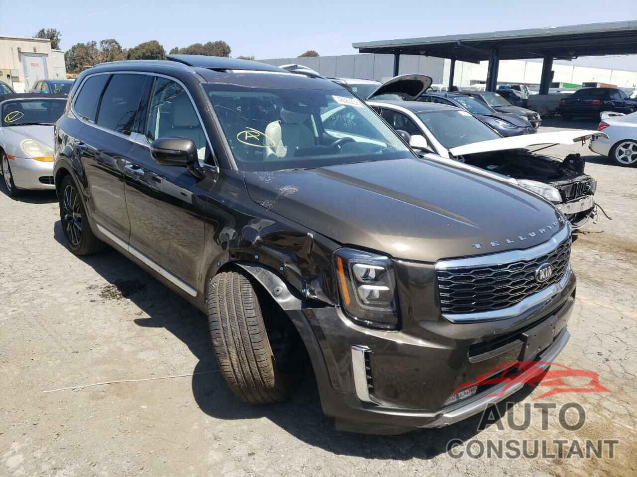 KIA TELLURIDE 2021 - 5XYP5DHC7MG109058