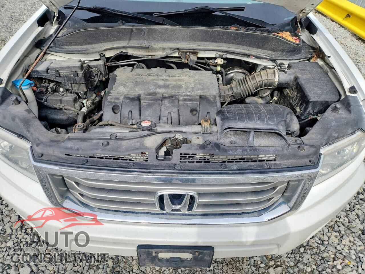 HONDA RIDGELINE 2014 - 5FPYK1F55EB014451